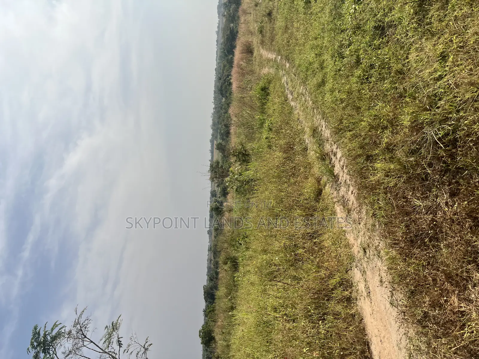 250 Acres of Land Located at Okaka, Itesiwaju Local Gov Area