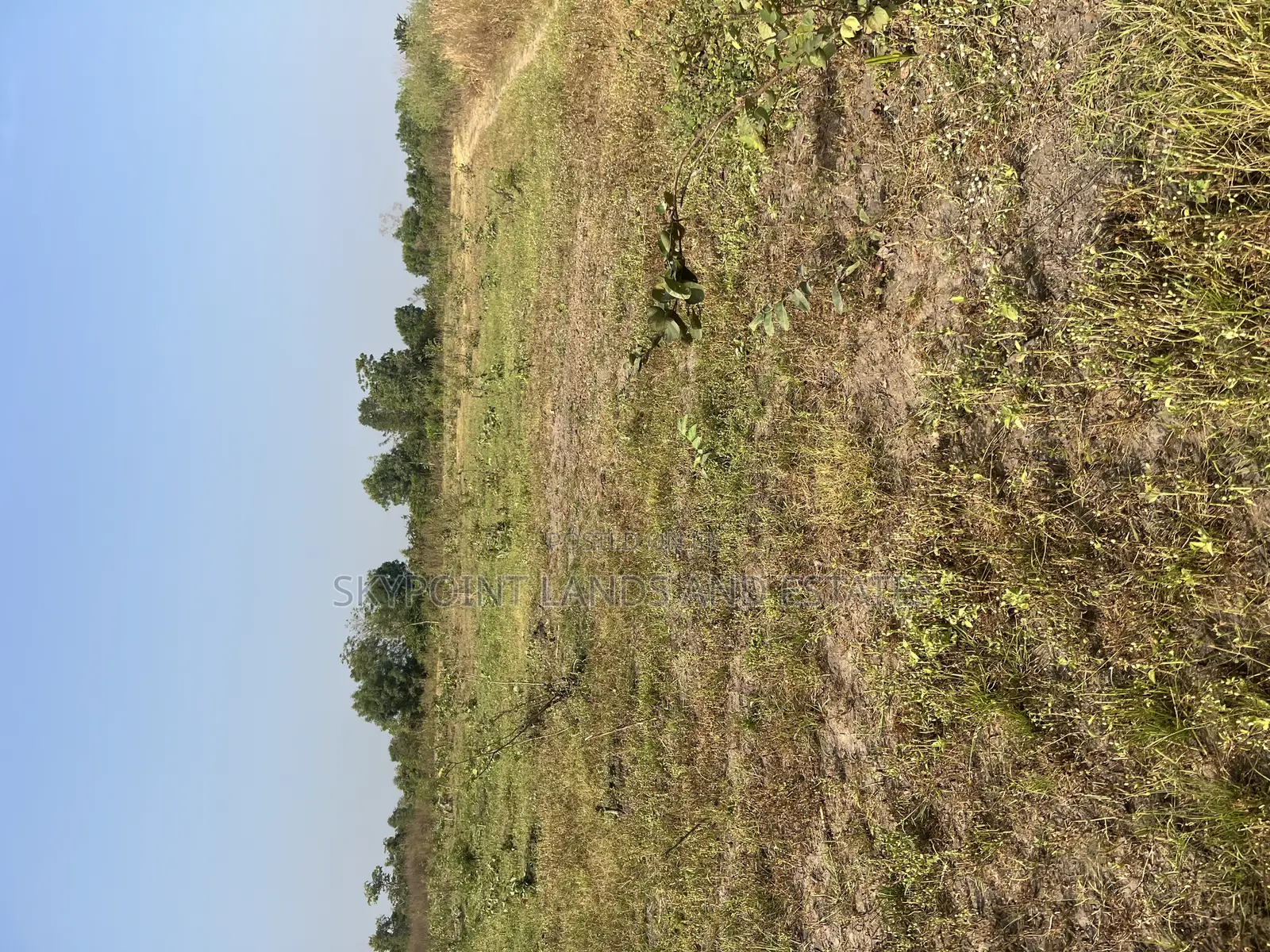 250 Acres of Land Located at Okaka, Itesiwaju Local Gov Area