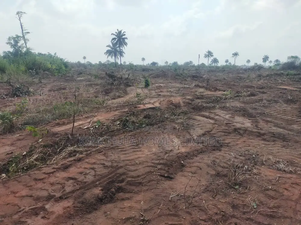 Best Deal of the Year Ibusa Land Asaba Delta State