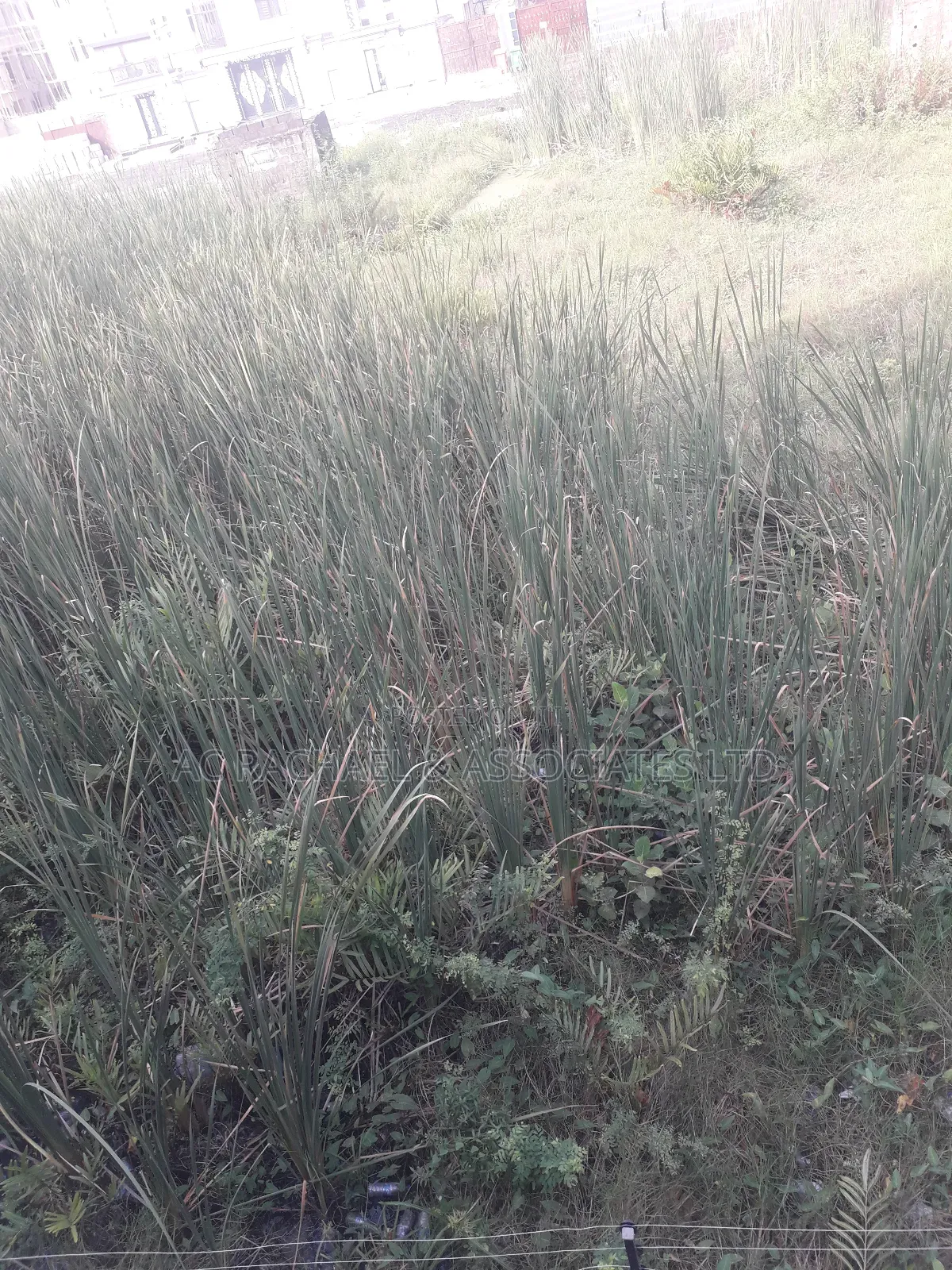 Full Plot of Land for Sale in Liberty Estate Ago