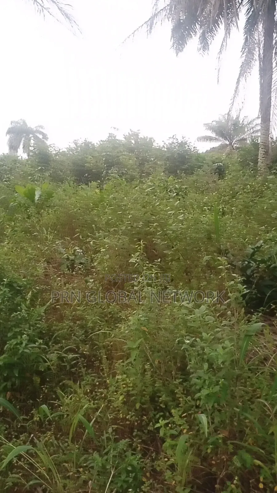 31 Plots of Land