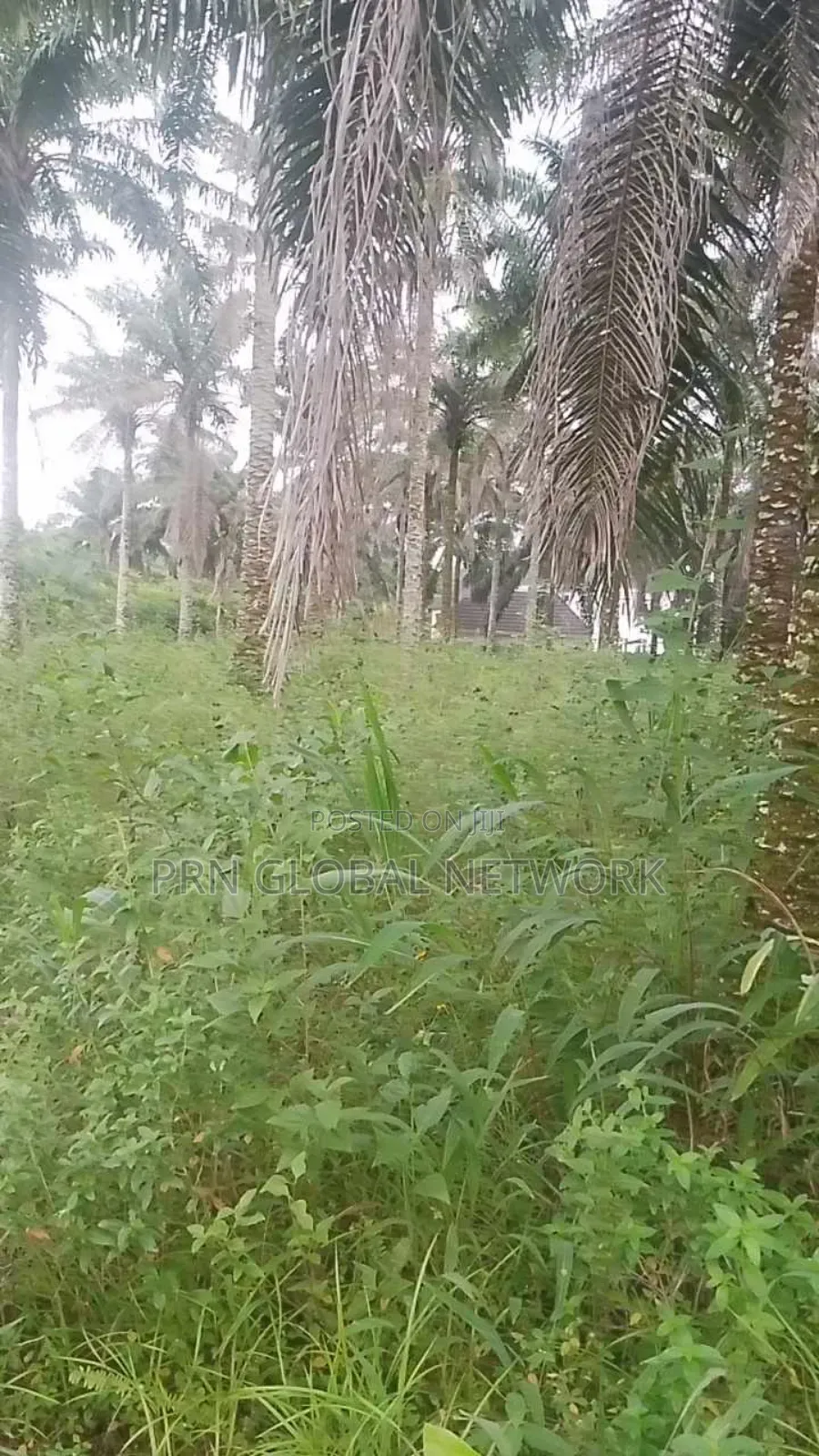 31 Plots of Land