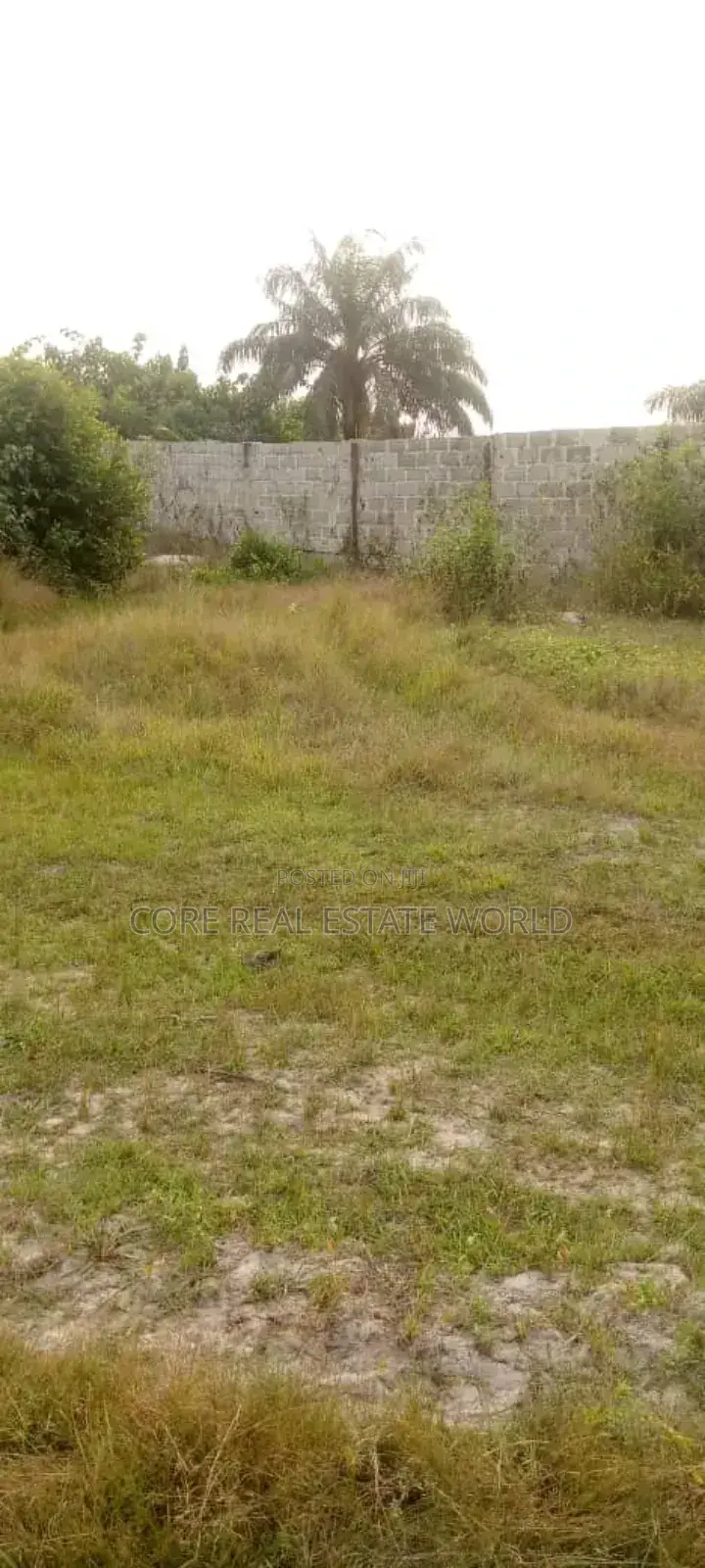 Buy and Build and All Inclusive in ABA