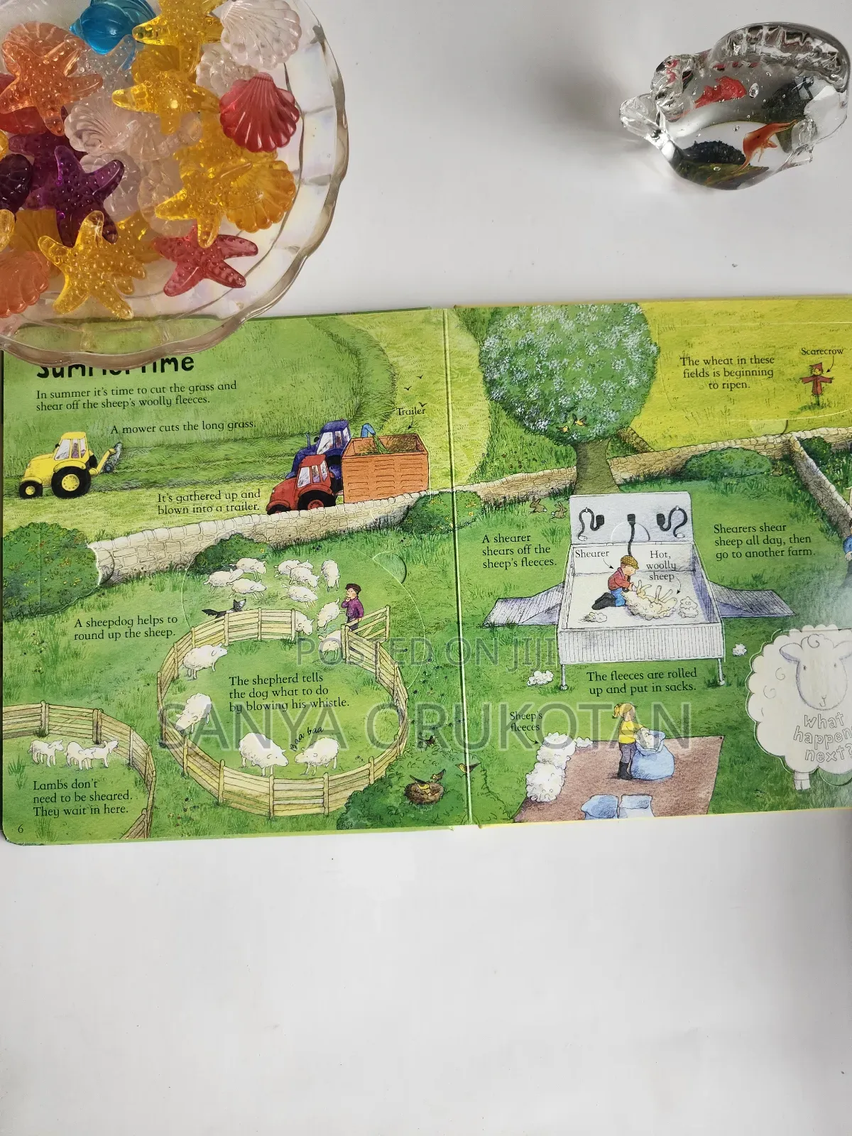 Usborne Look Inside a Farm Flip Flap Book