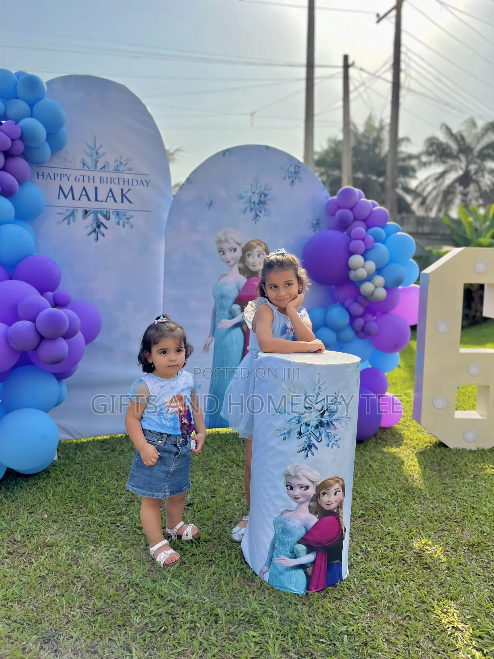 Frozen Themed Birthday Decor