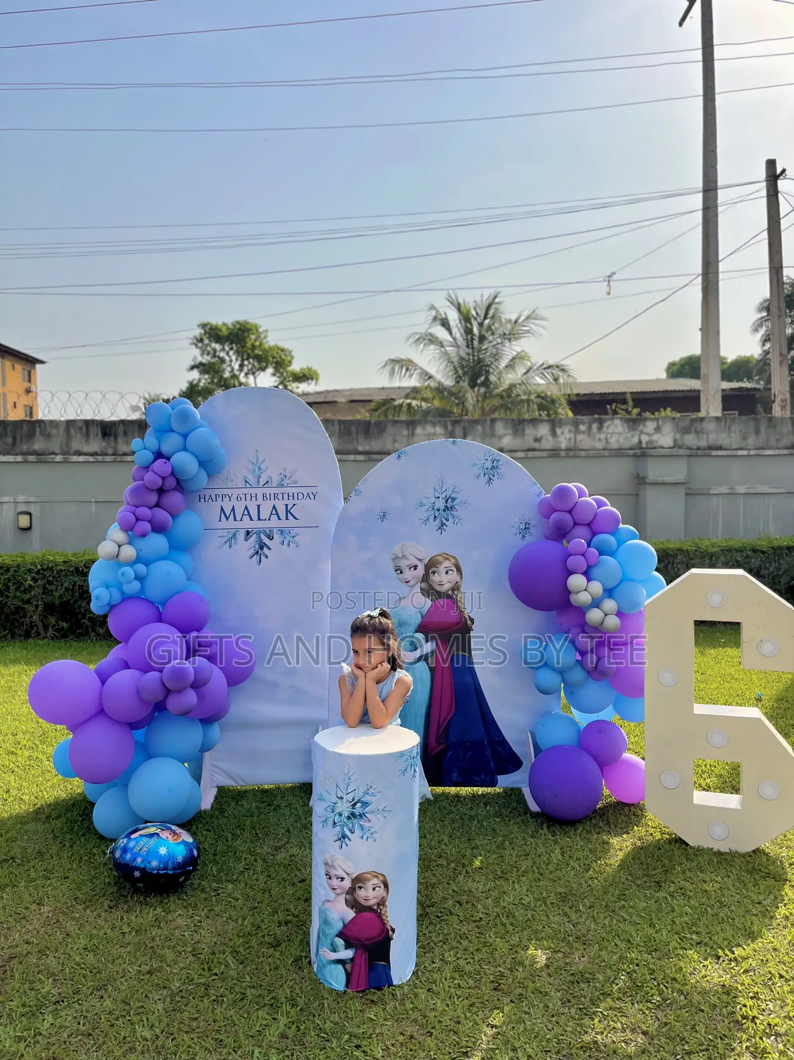 Frozen Themed Birthday Decor