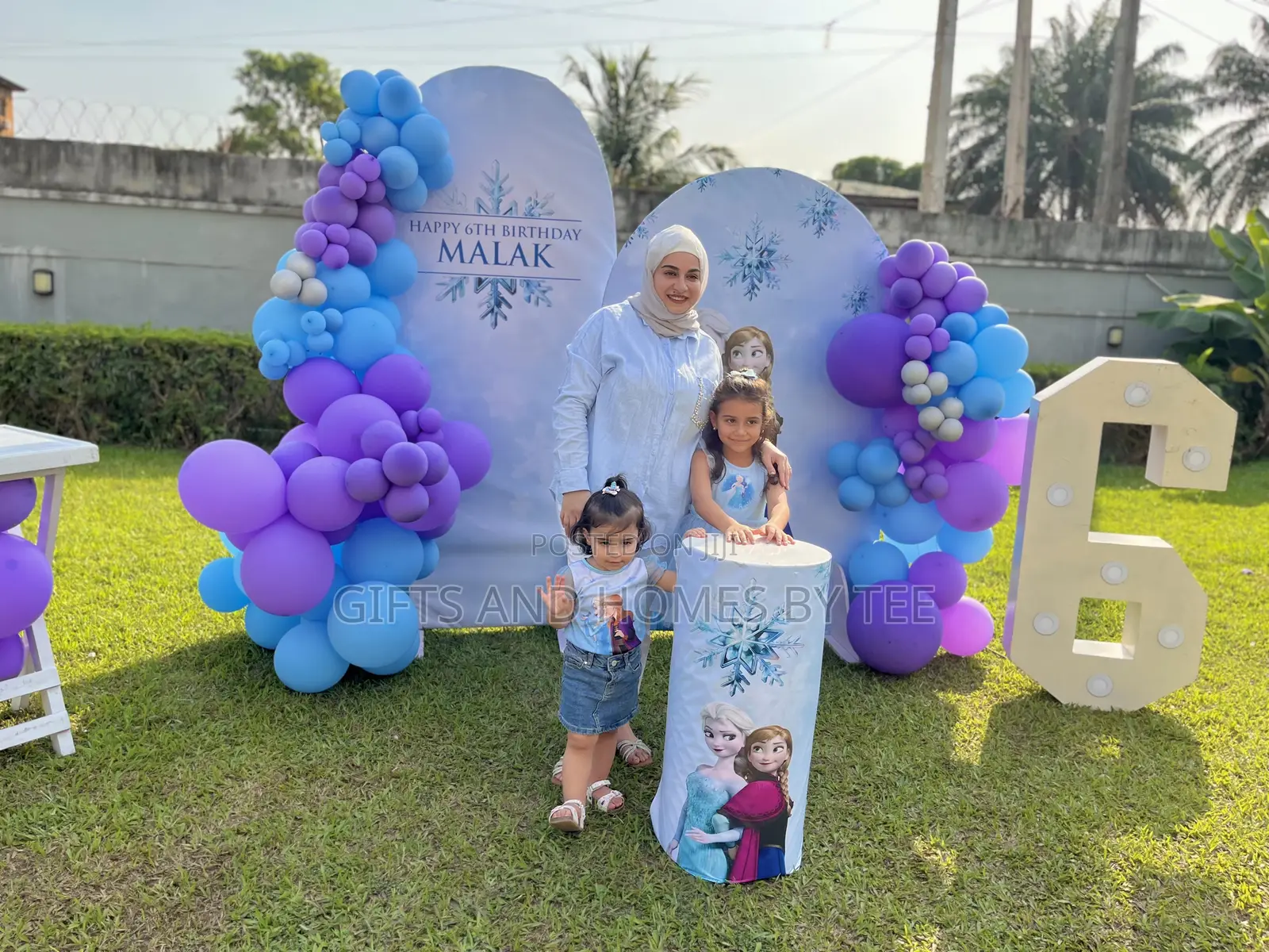 Frozen Themed Birthday Decor