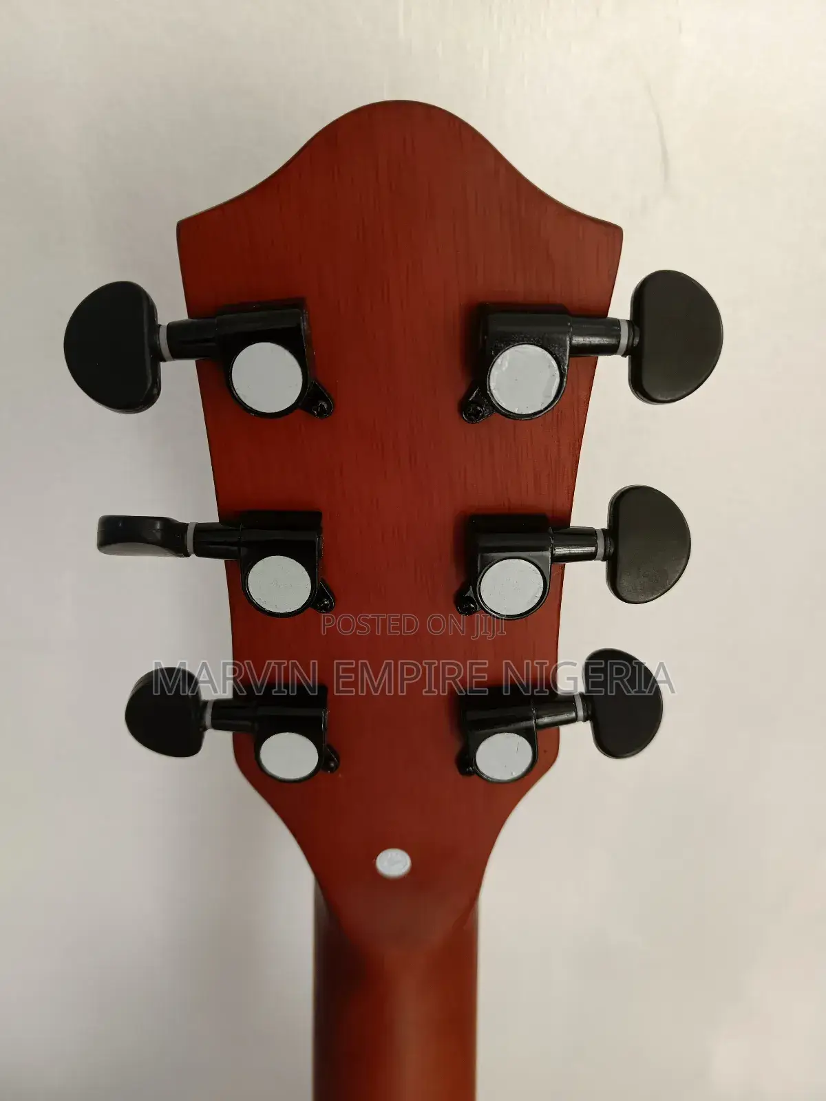 Electroacoustic Semi Guitar