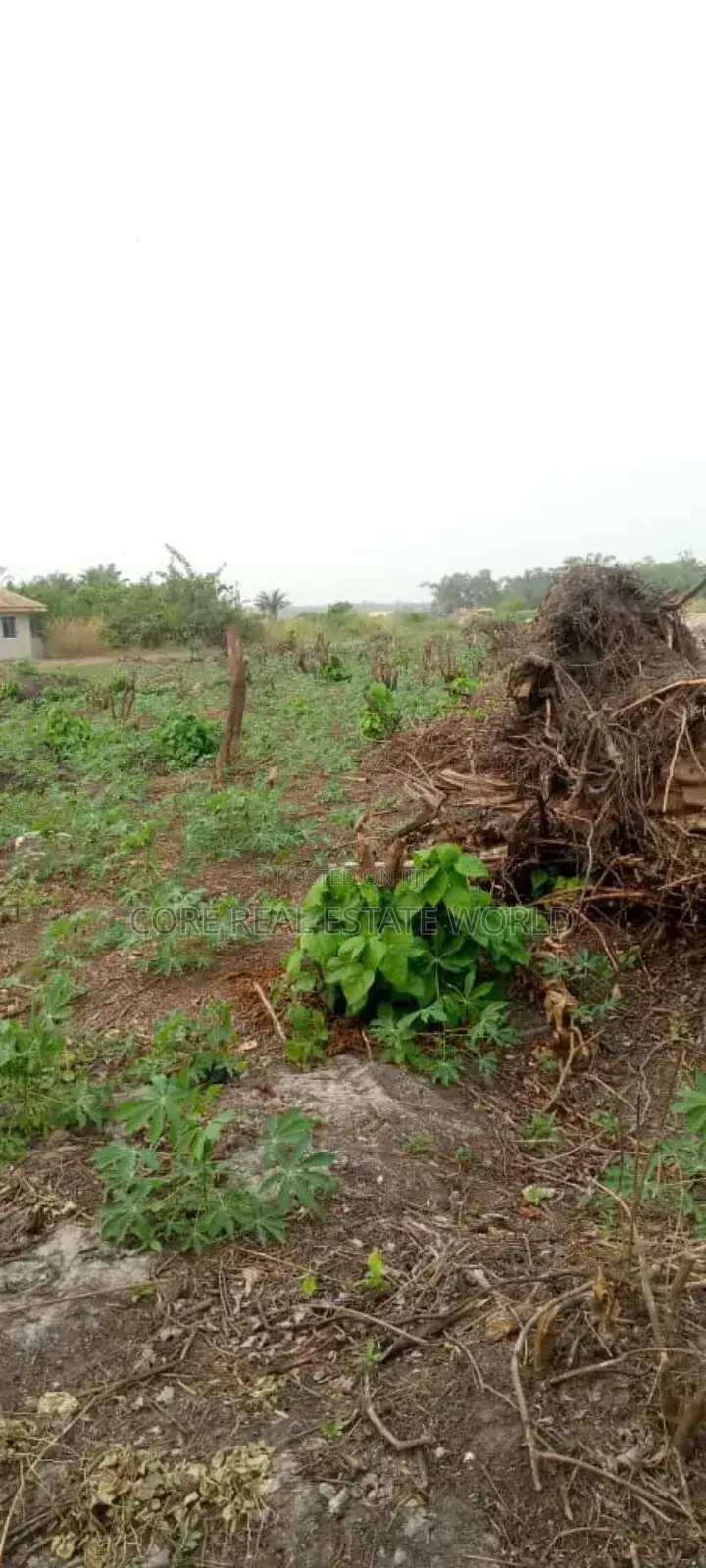 Christmas Bonanza, Umueri Behind Anambra Airport