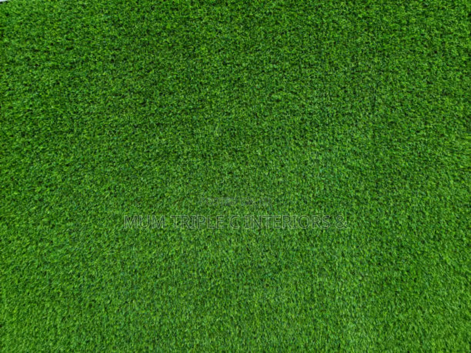Carpet GRASS