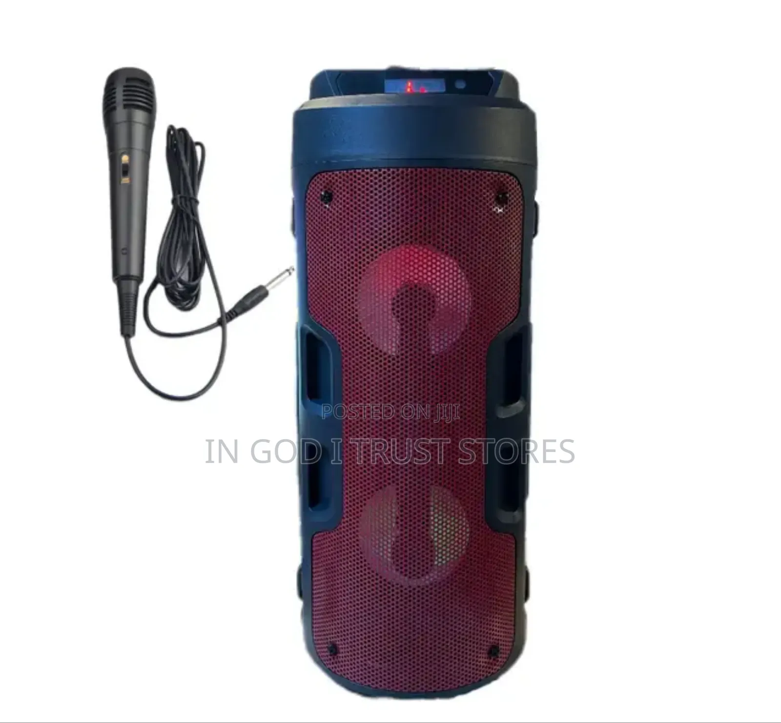 Portable BT FM Radio Outdoor Speaker RGB LED Lighting Remote