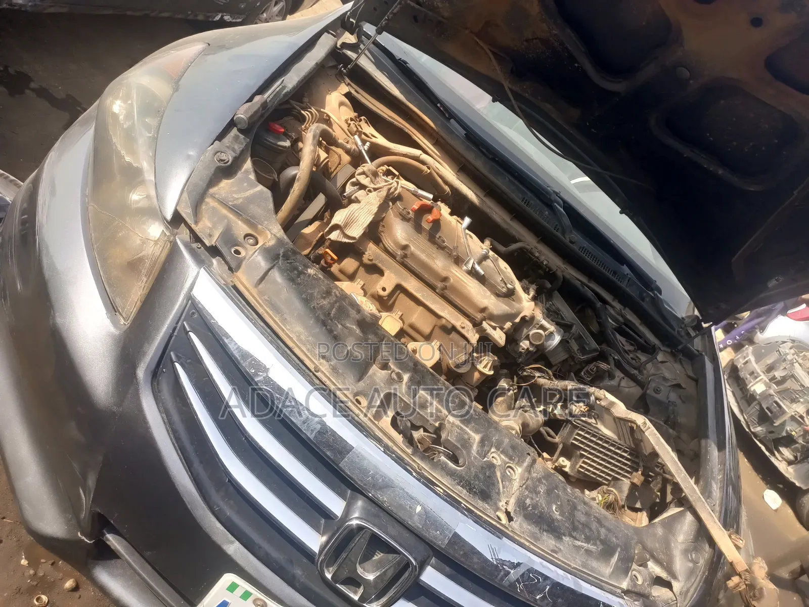 Professional Auto Mechanic