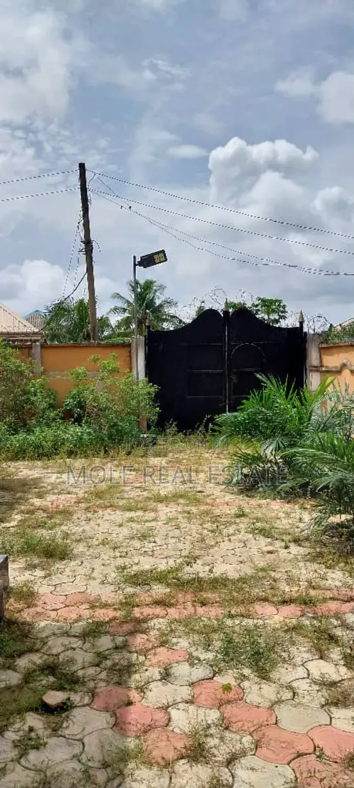 Functional Palm Plantation 4 Sale Ibadan