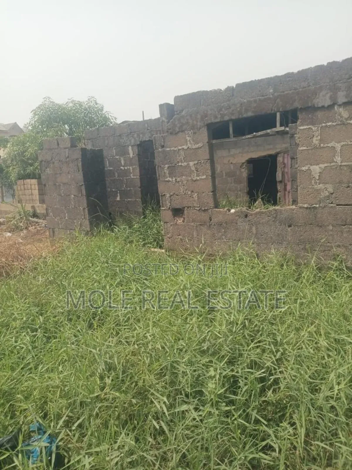 Functional Palm Plantation 4 Sale Ibadan