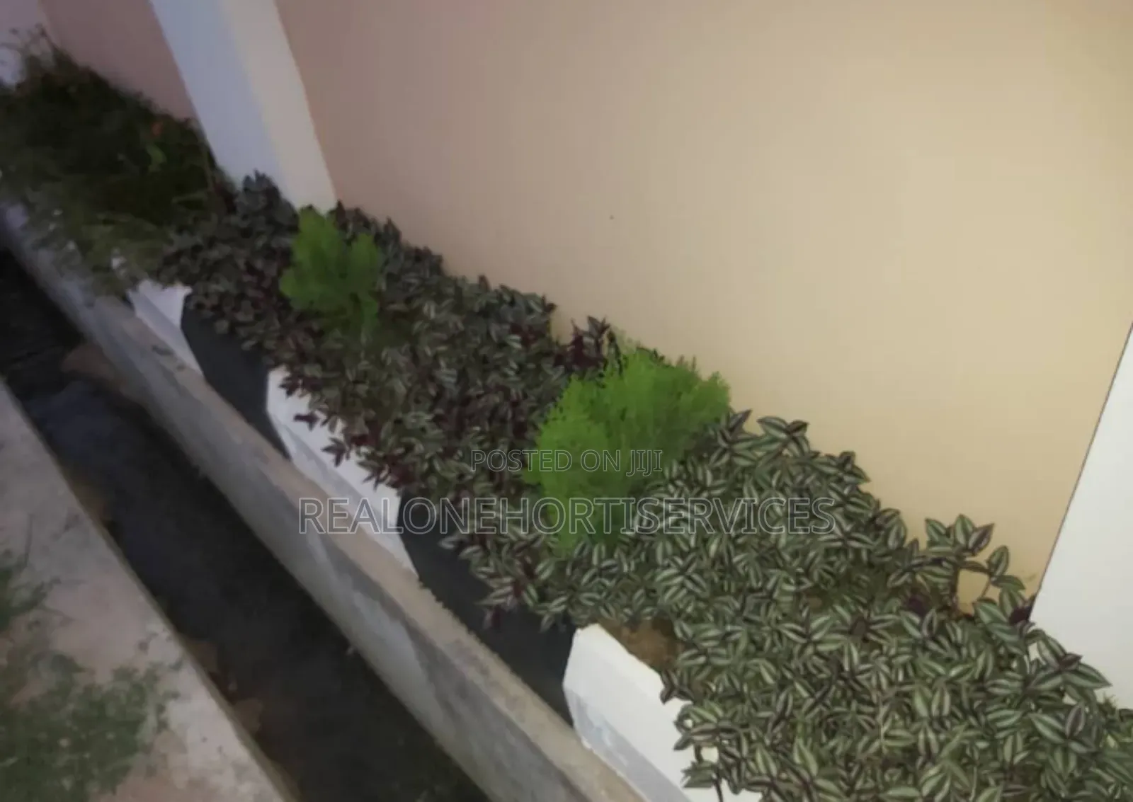 Expert Horticulturist Service's for Your Property