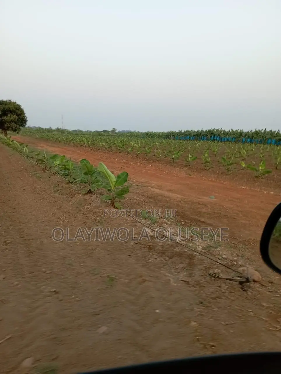 Farmland in Ogun State, Nigeria