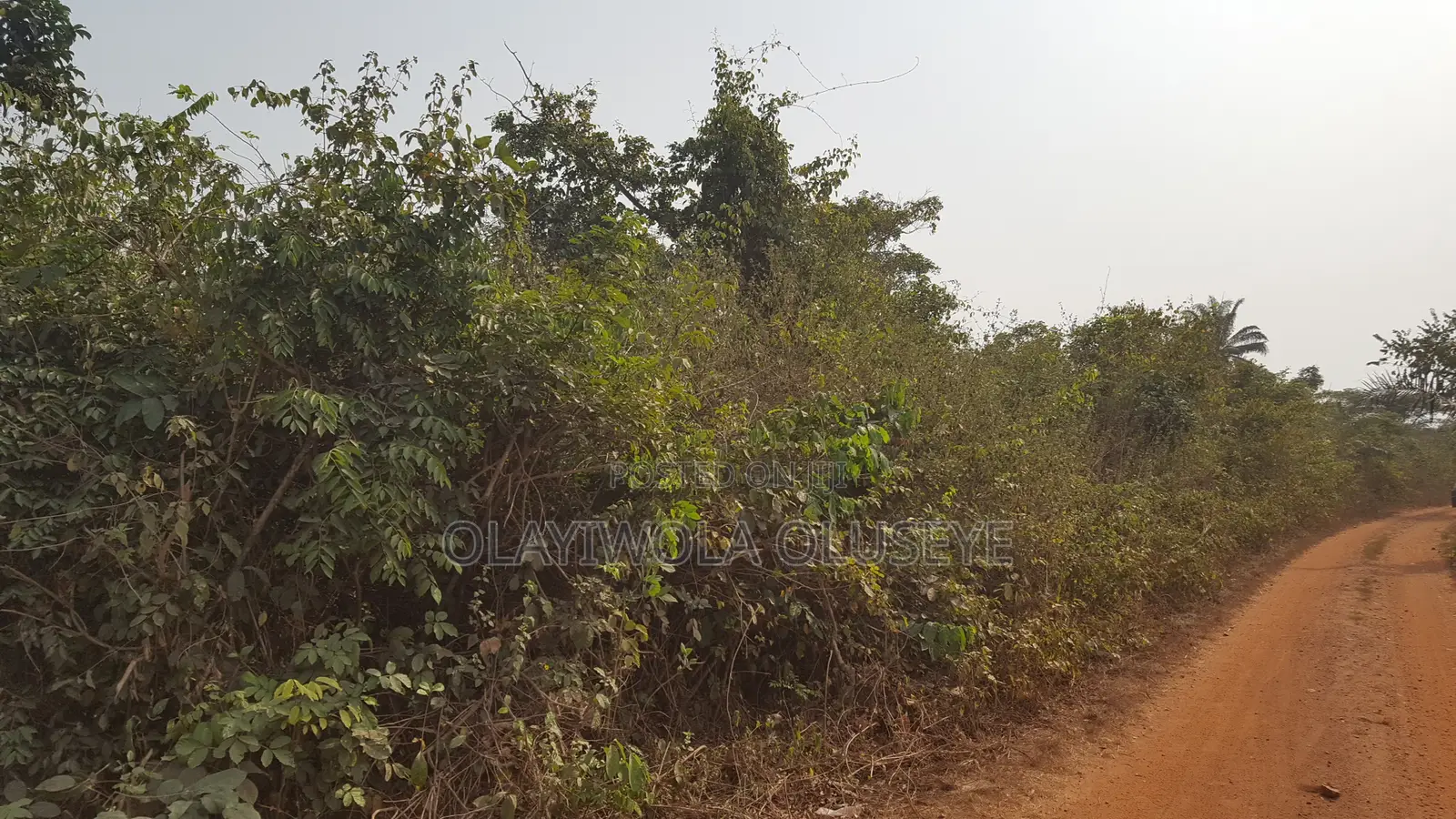 Farmland in Ogun State, Nigeria