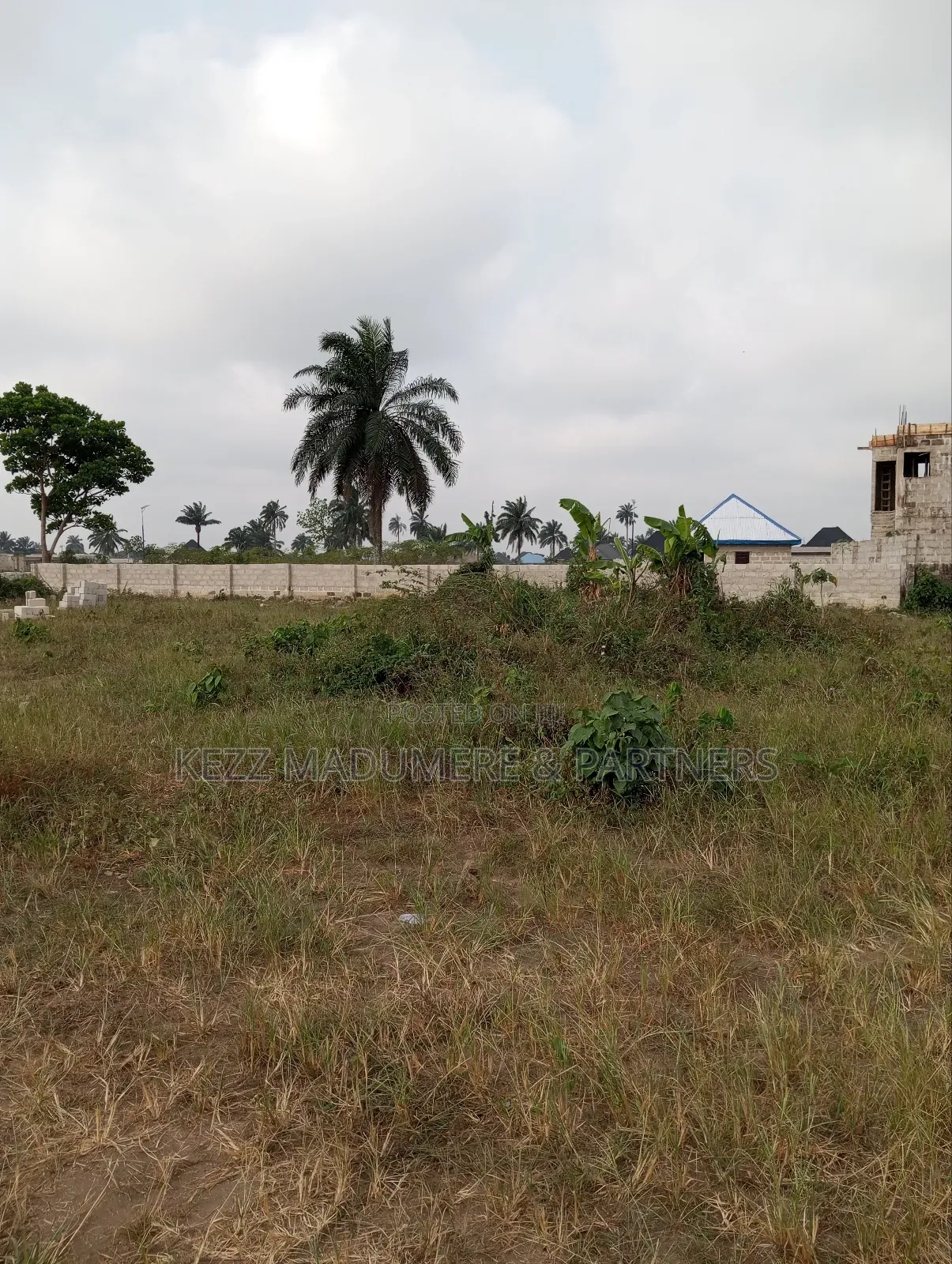 For Sale: 3 Plots Near Near Nepa, Sars Road
