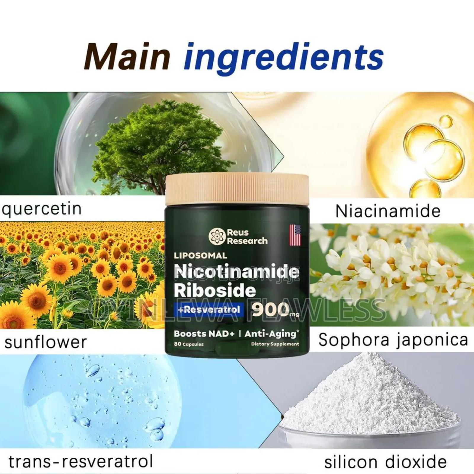 Reus Research Nad+ Liposomal Nicotinamide Riboside Resveratrol