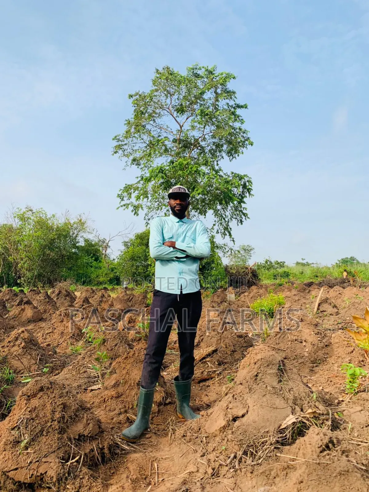 Farming Consultant