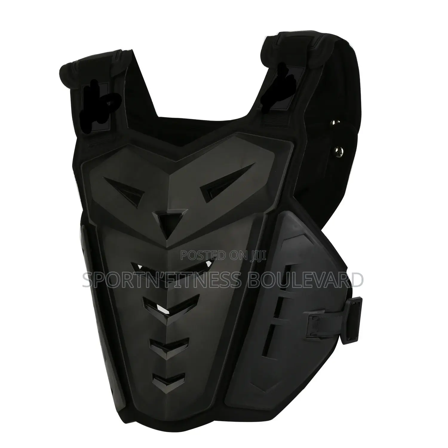 Riding Chest And Spine Protection Vest