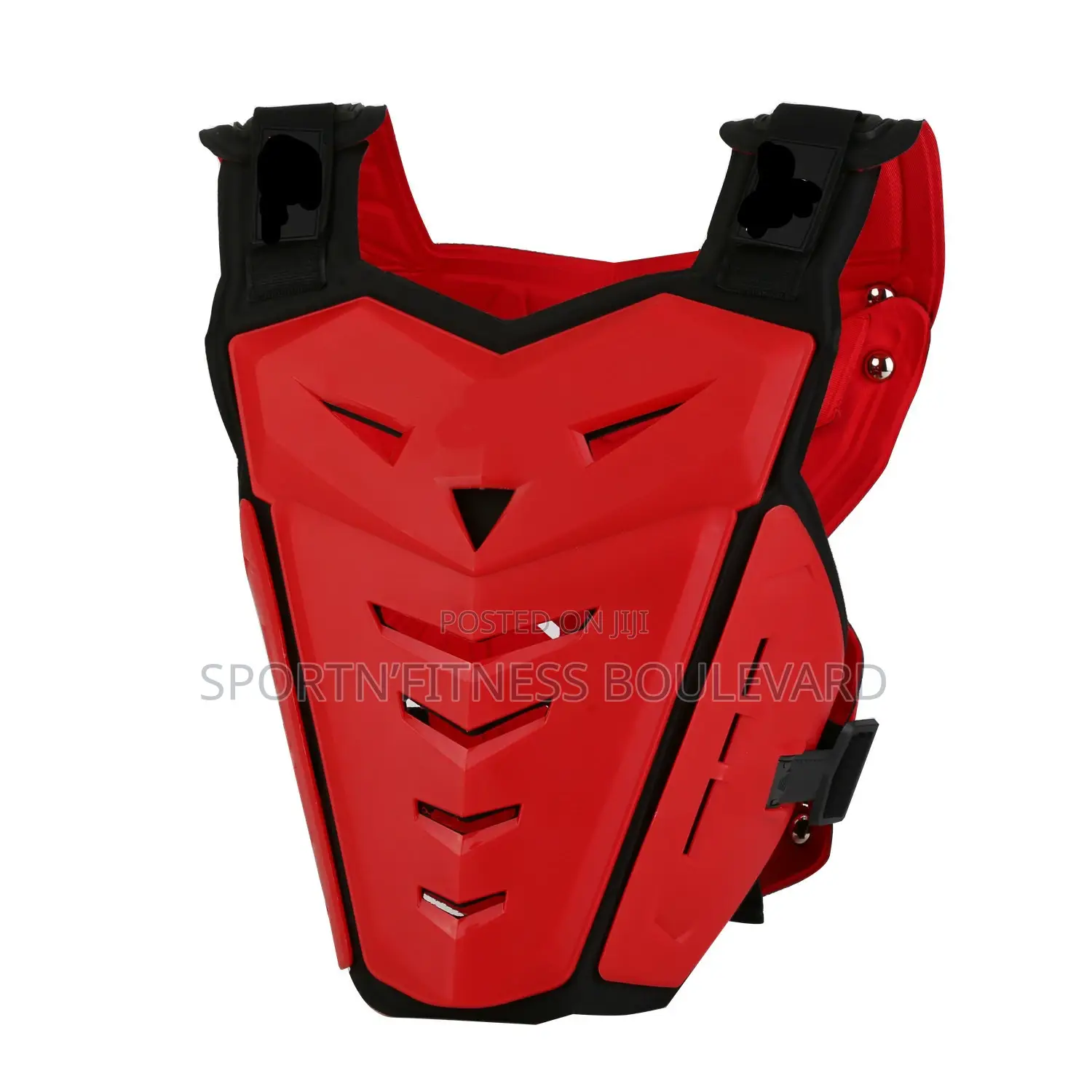 Riding Chest And Spine Protection Vest
