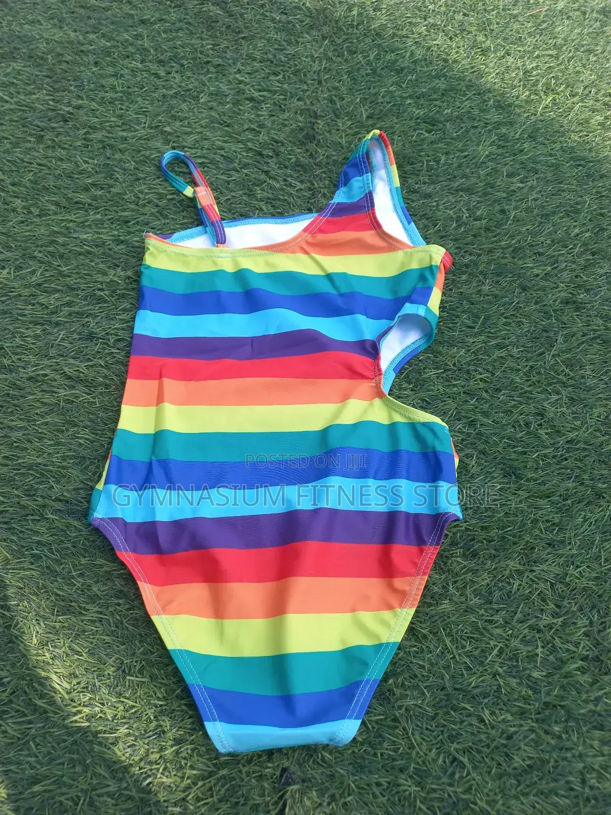 Colorful Stripped Swim Suite