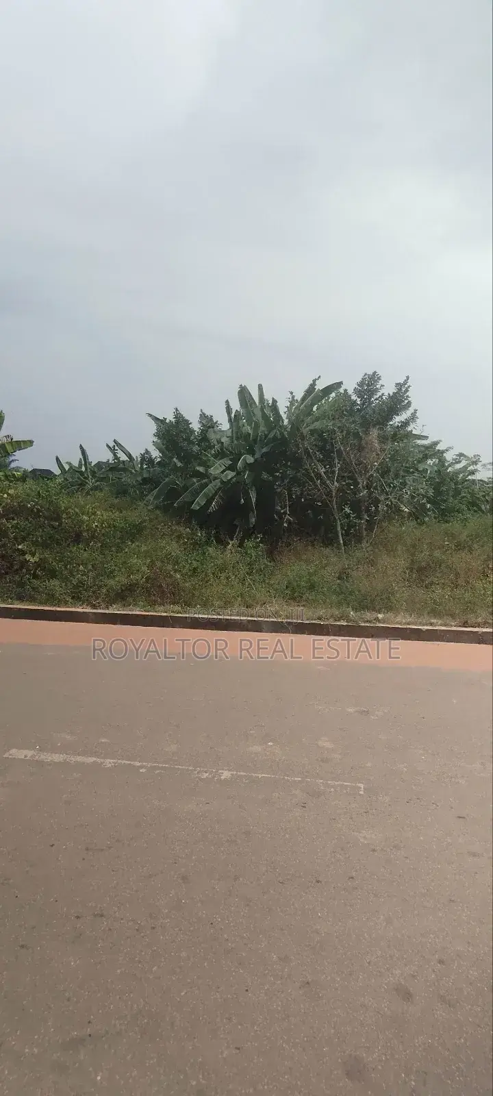 3049 Hectares (30,049 Plots) for Sale With Survey Documents