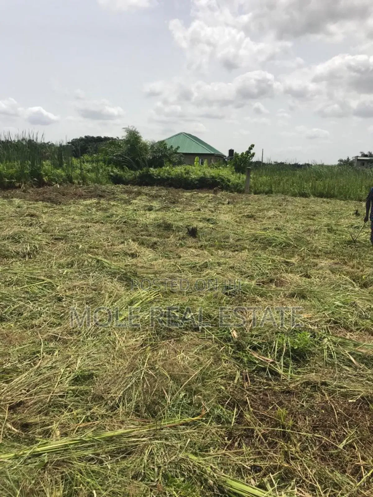 50ft By 25ft Starter Plot New Ijegun Festac Link RD