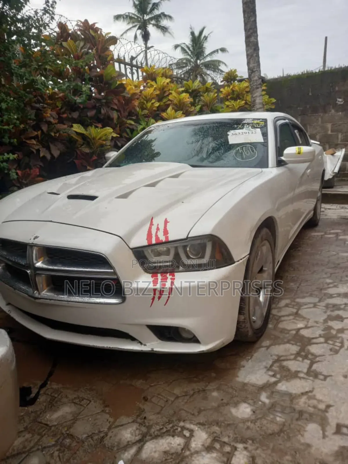 Dodge Charger SE 4dr Sedan (3.6L 6cyl 5A) 2014 White