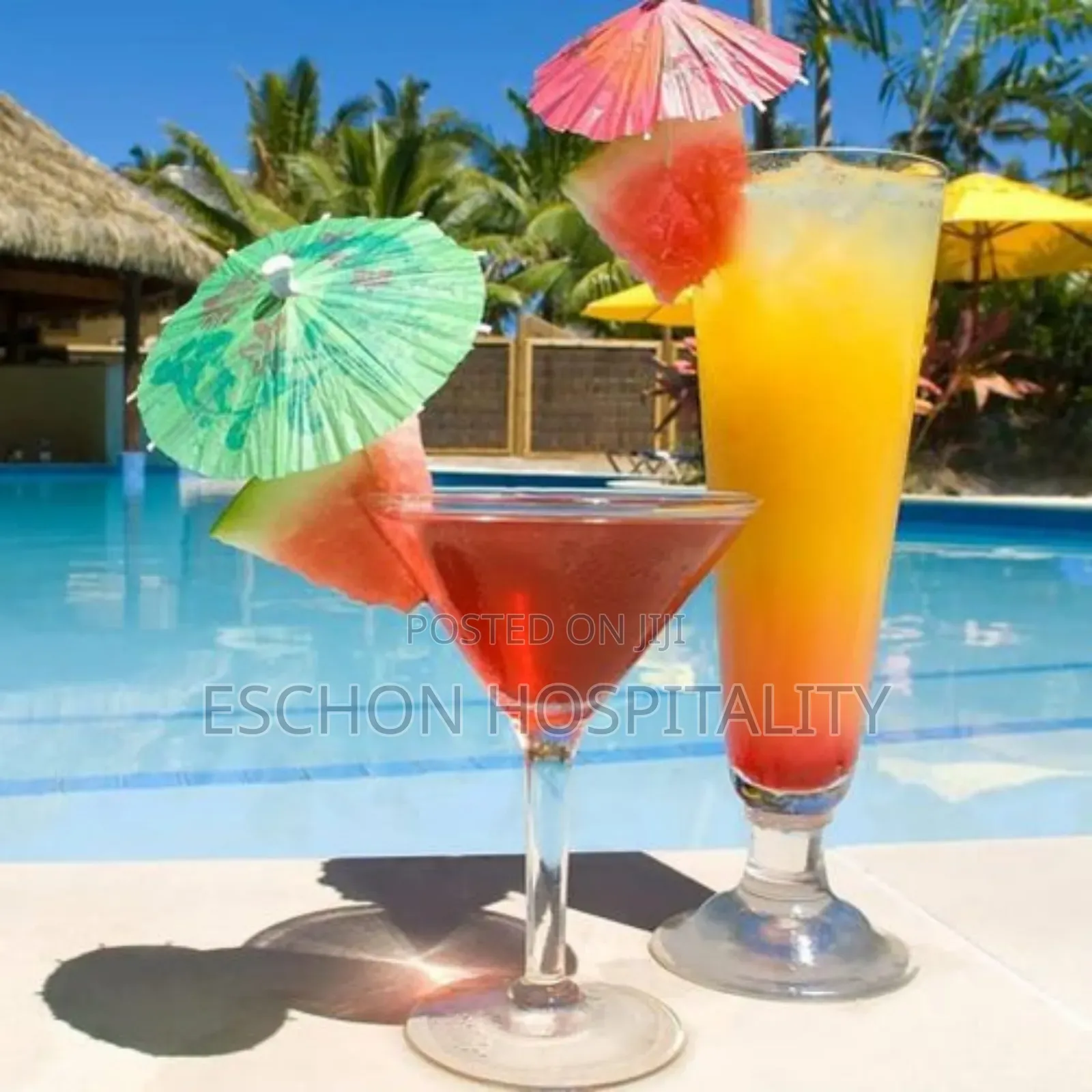Cocktail Parasols / Umbrellas
