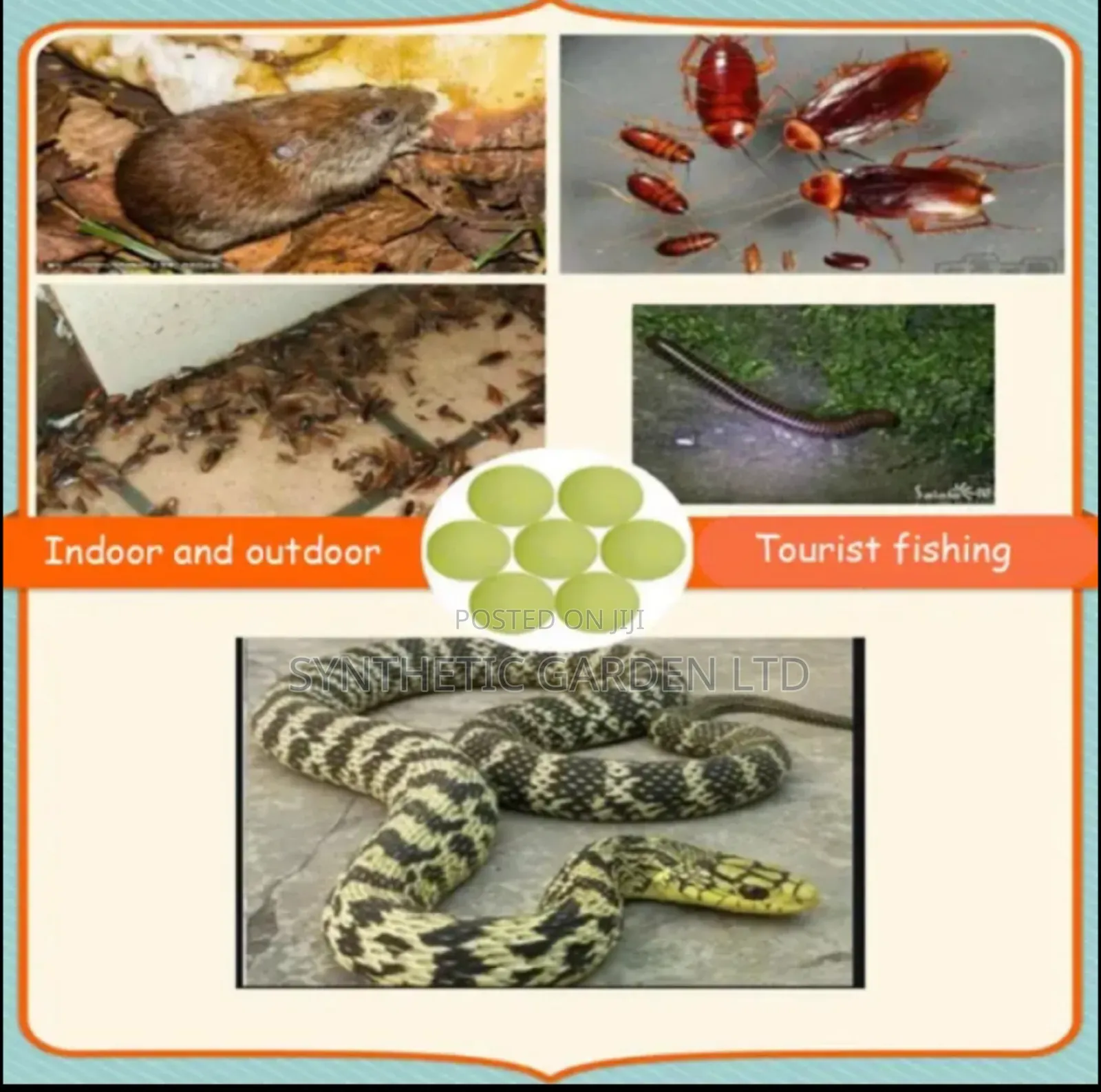 Snake Away