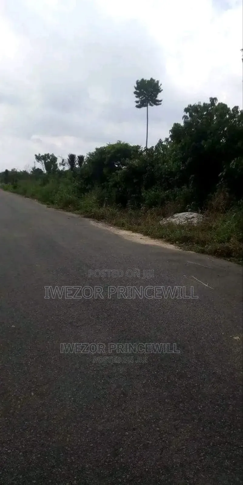 10,000 Plots for Sale in Rivers State