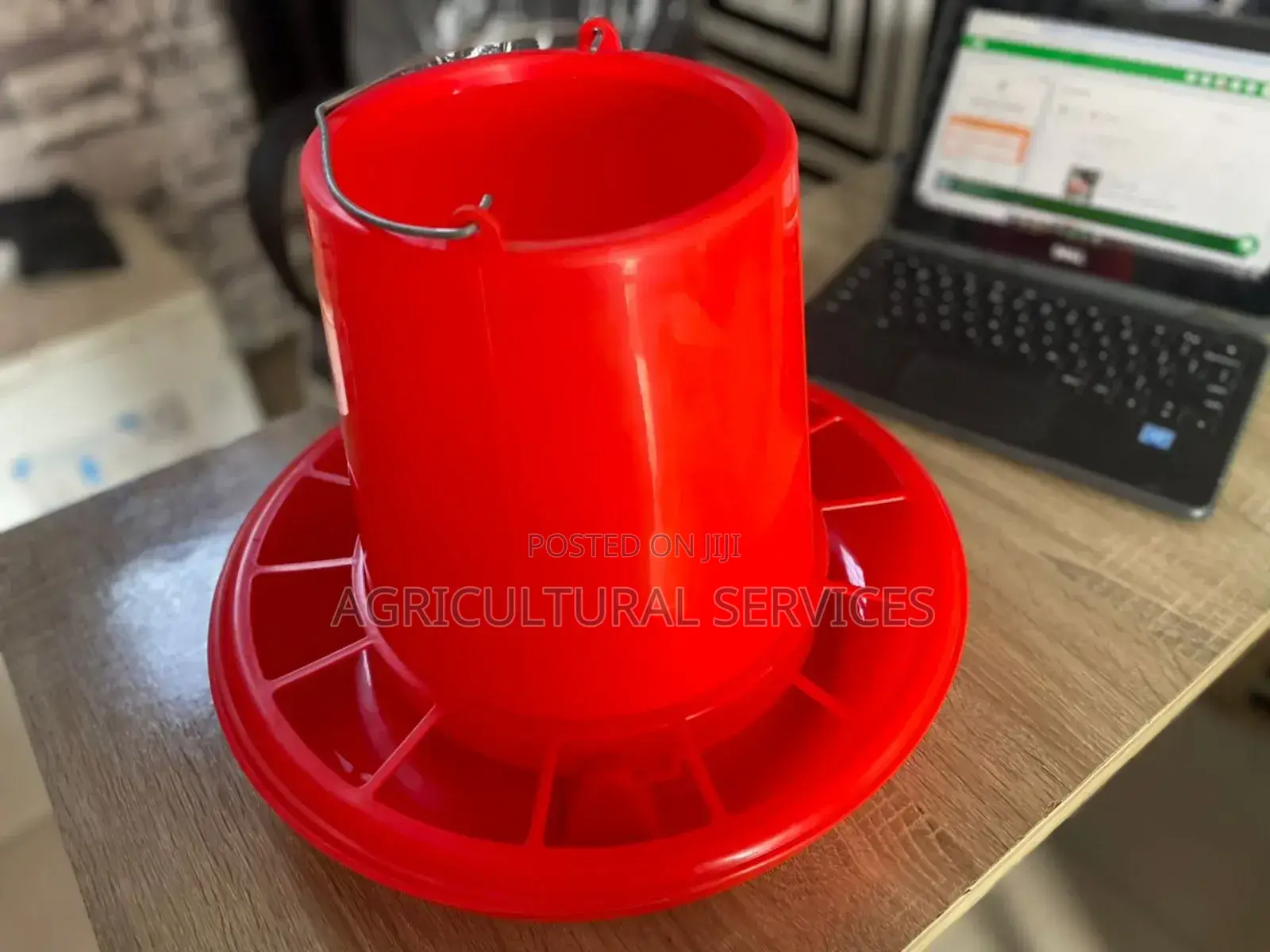 Imported Feeders