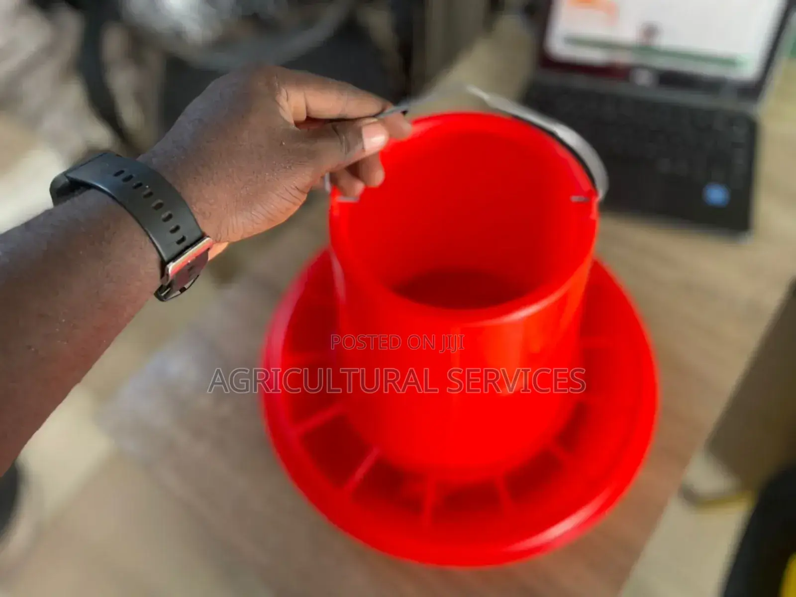 Imported Feeders