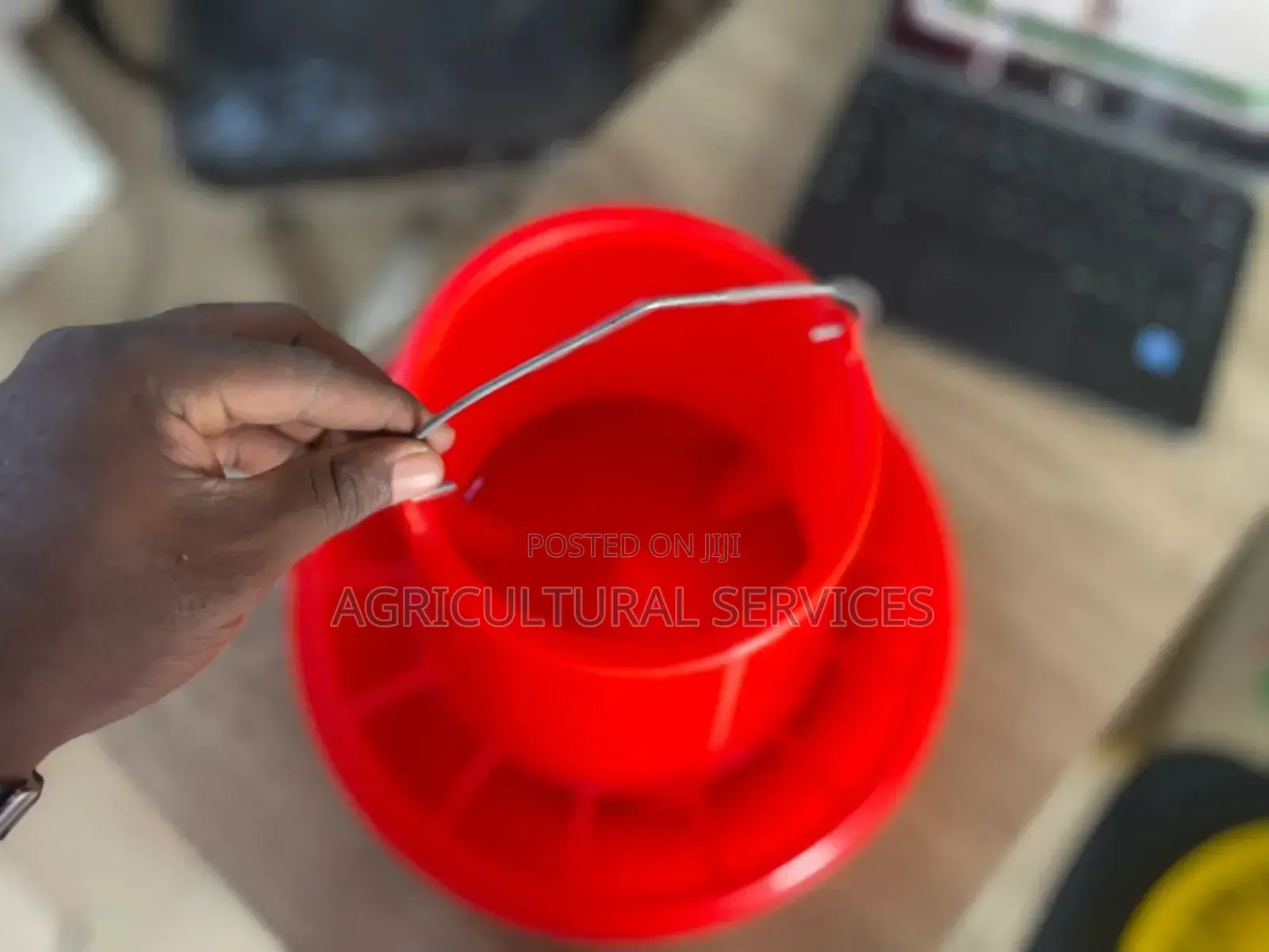 Imported Feeders