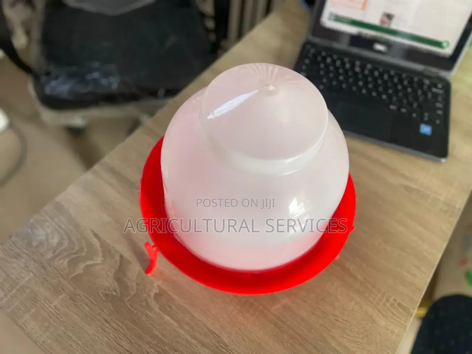 Adult Drinkers With Adjustable Stand