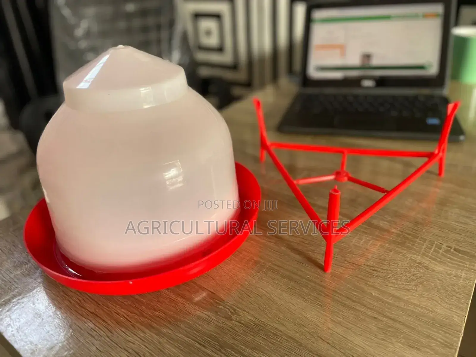 Adult Drinkers With Adjustable Stand