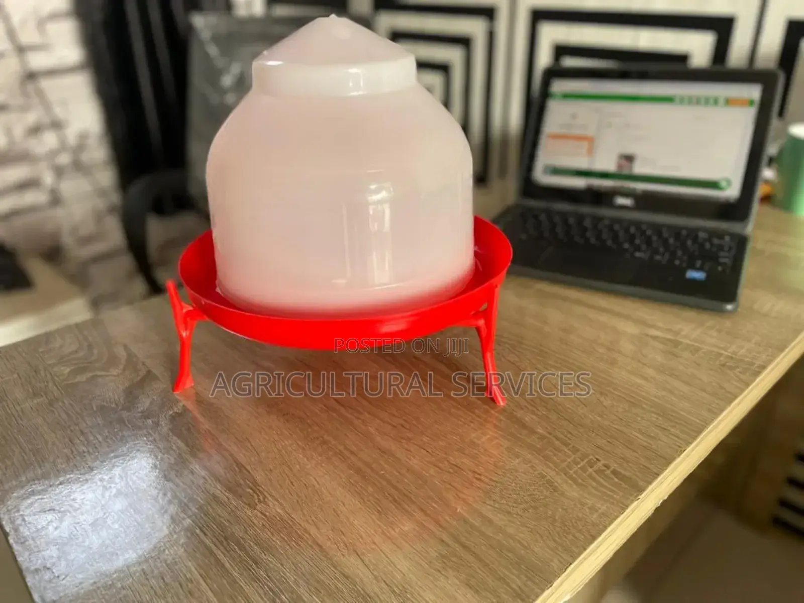 Adult Drinkers With Adjustable Stand