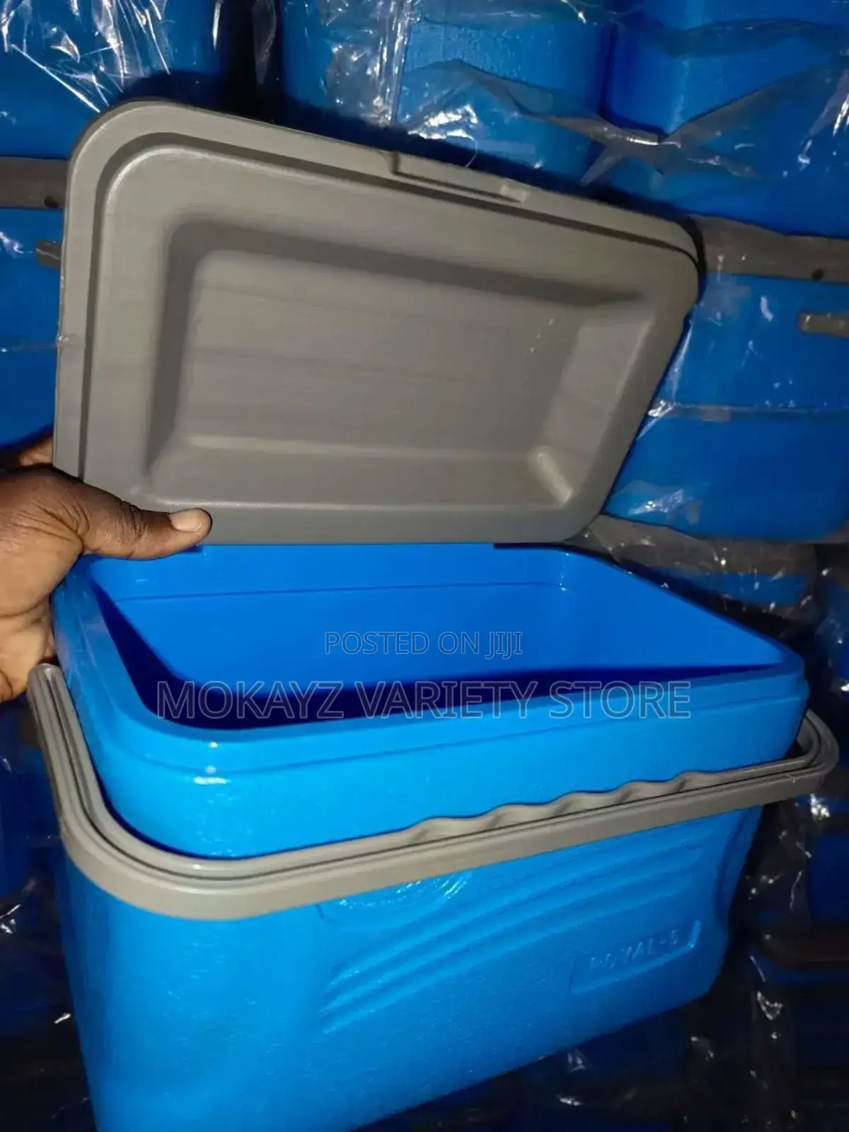 5L Royal Cooler
