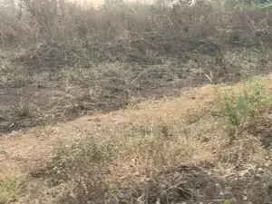 75plots For Sale At Umuapu