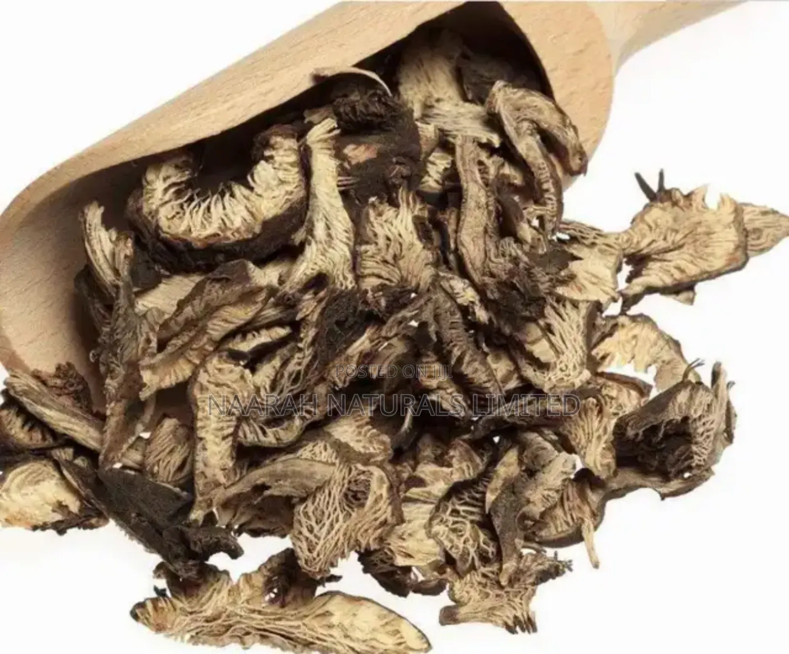 Black Cohosh Root / Powder - N500g