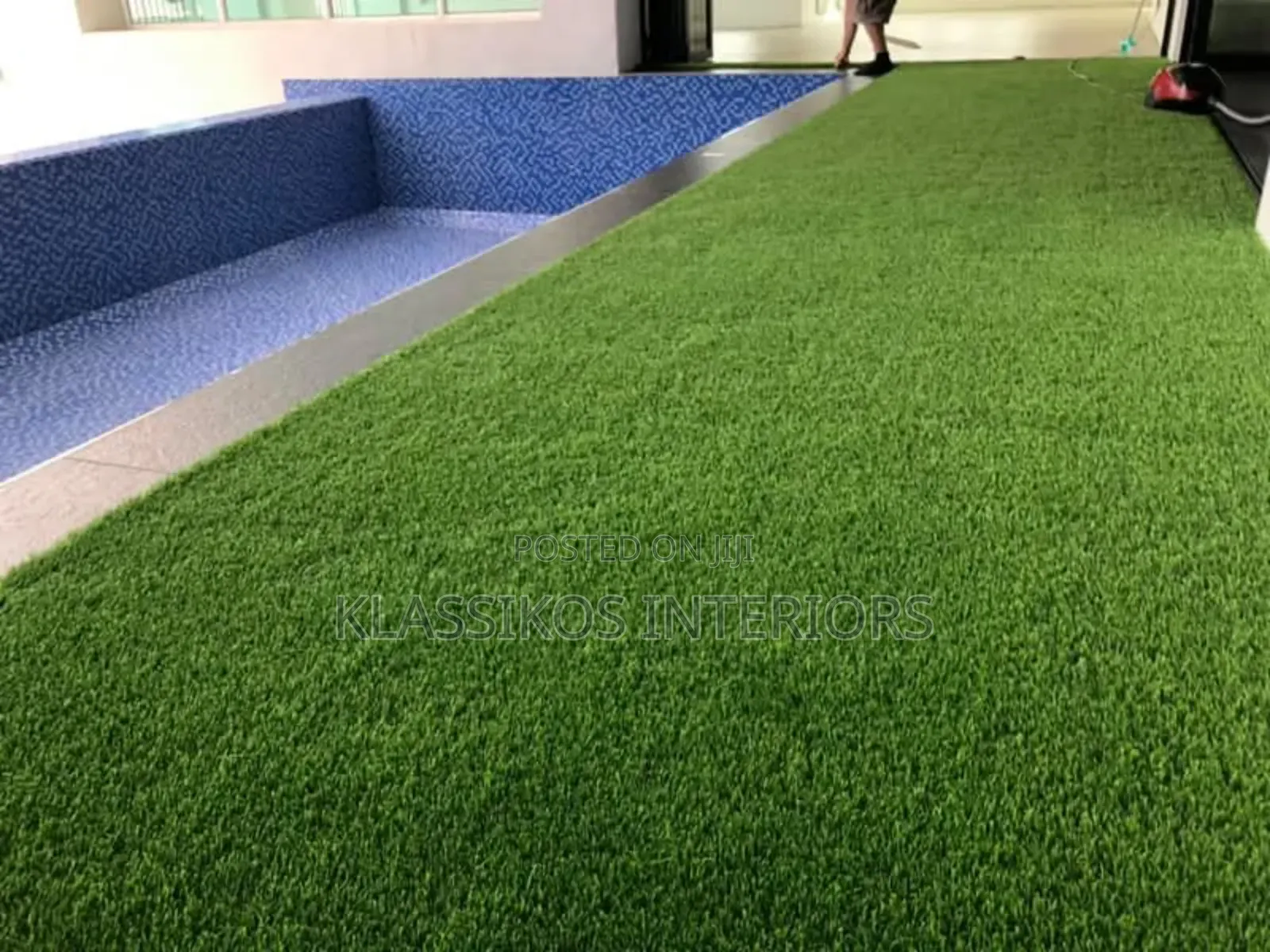 Carpet Grass for Your Homes (K-102)