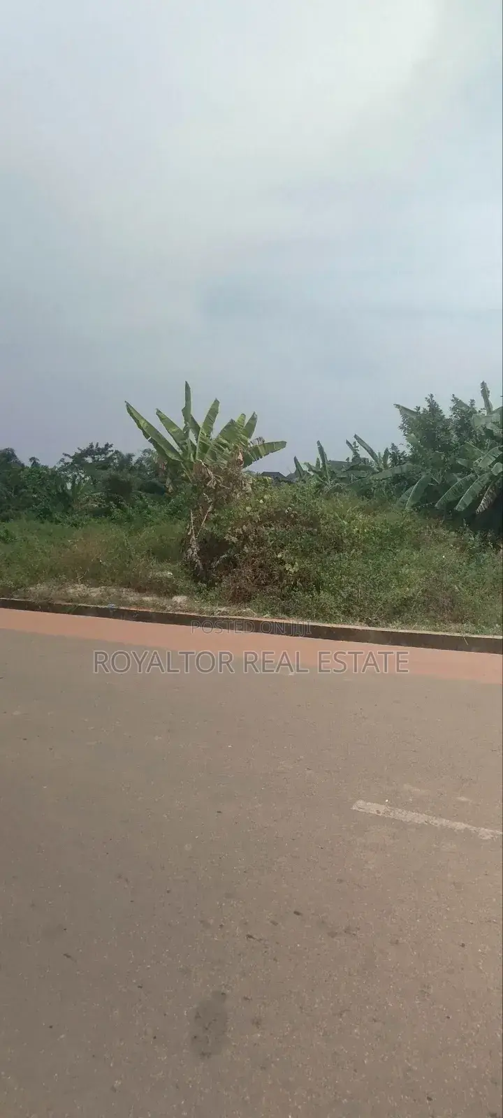 500 Hectares (5,0000 Plots) Available for Sale in Benin