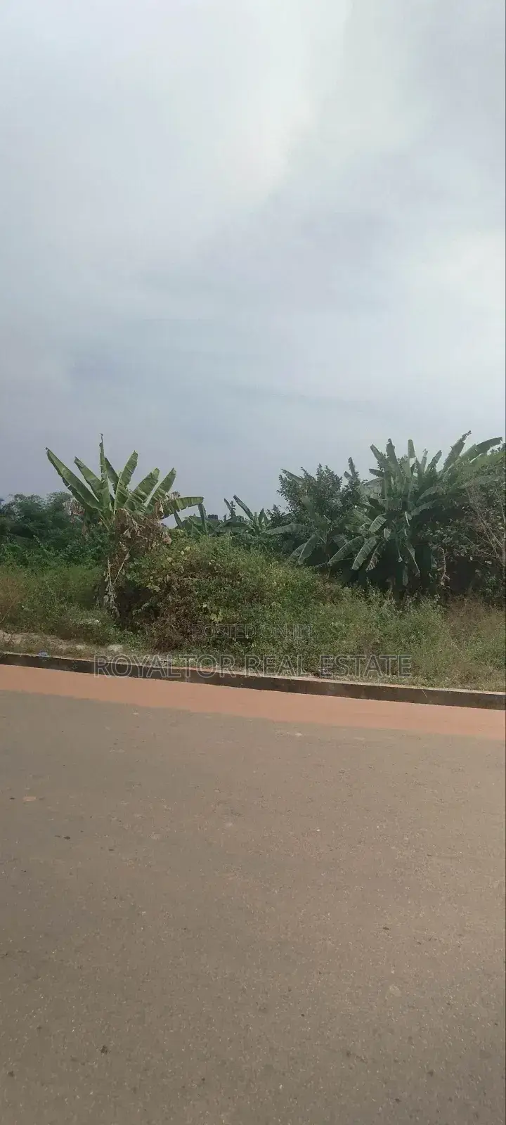 500 Hectares (5,0000 Plots) Available for Sale in Benin