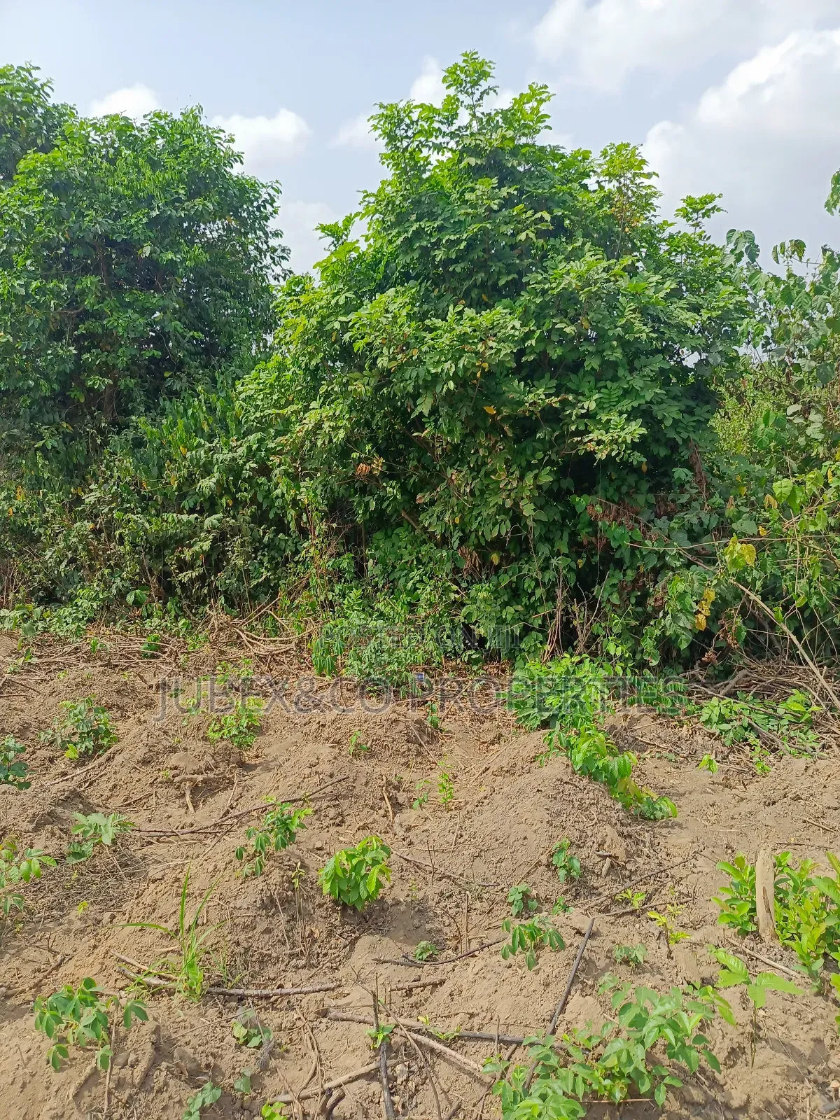A Plots for Sale at Cannal City Winners