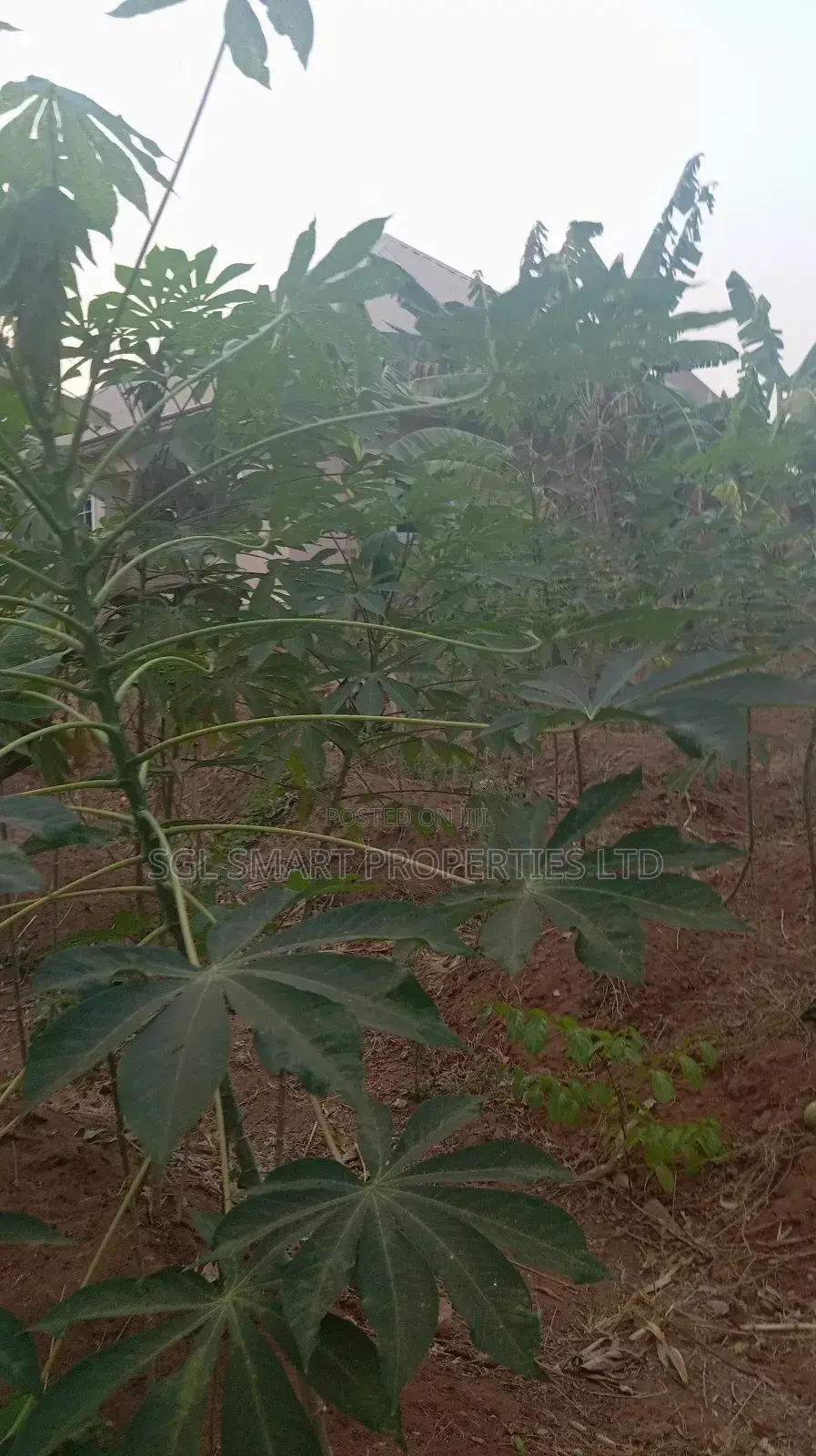 Half Plot of Land for Sale at Umubelle Àwka