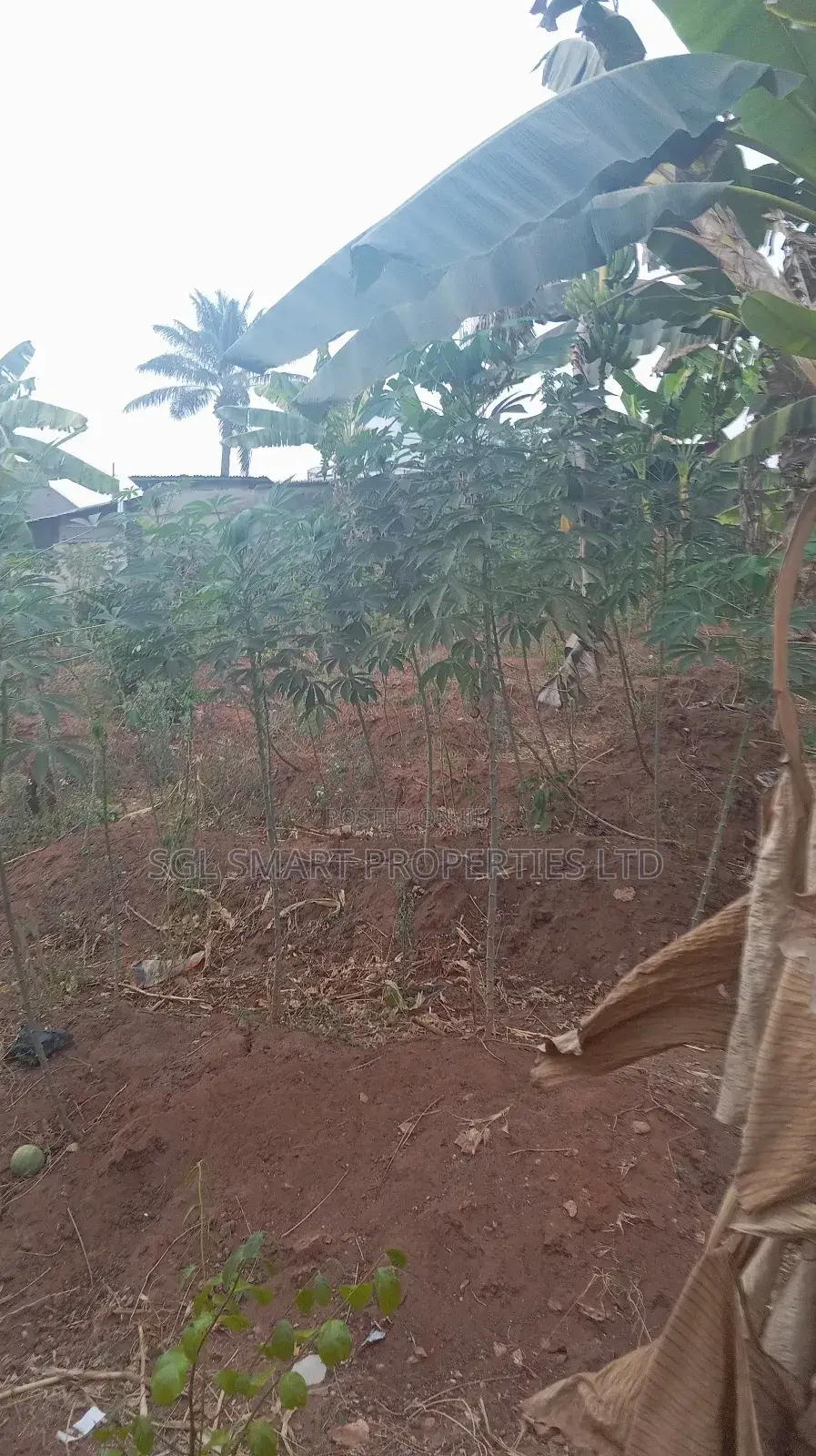 Half Plot of Land for Sale at Umubelle Àwka