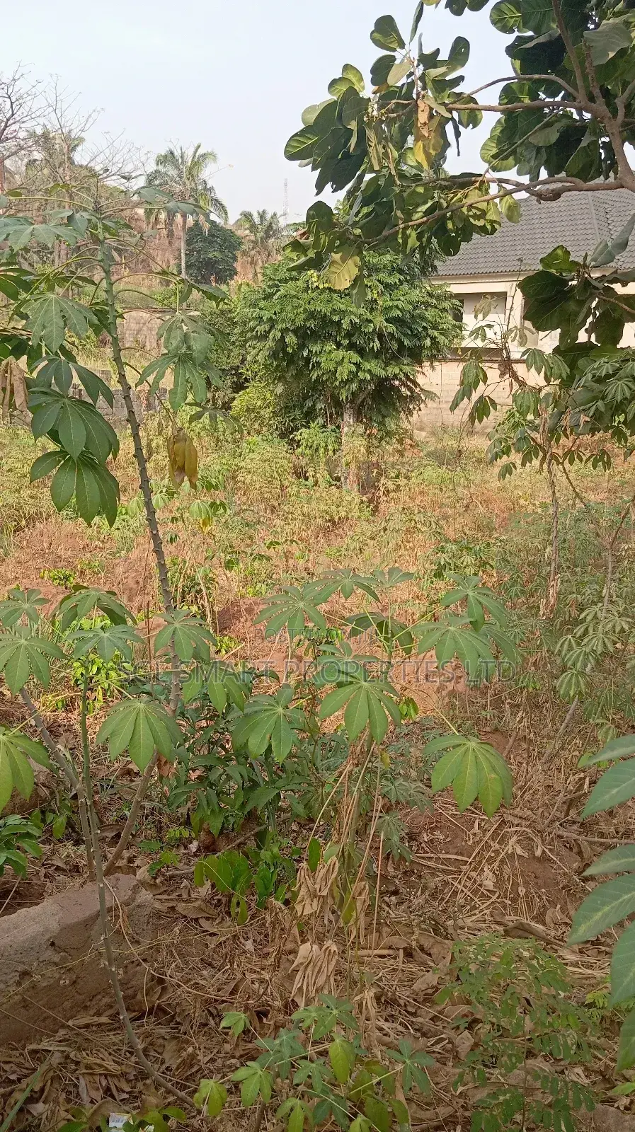 One and Half Plots for Sale at Aguoye Mini Estate