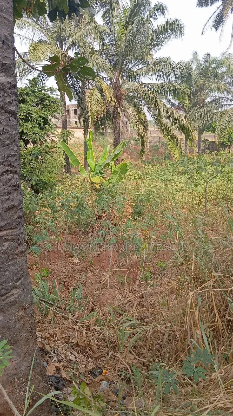 One and Half Plots for Sale at Aguoye Mini Estate